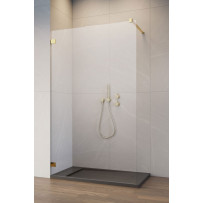 Душевая перегородка Essenza Pro Gold Walk-in 160